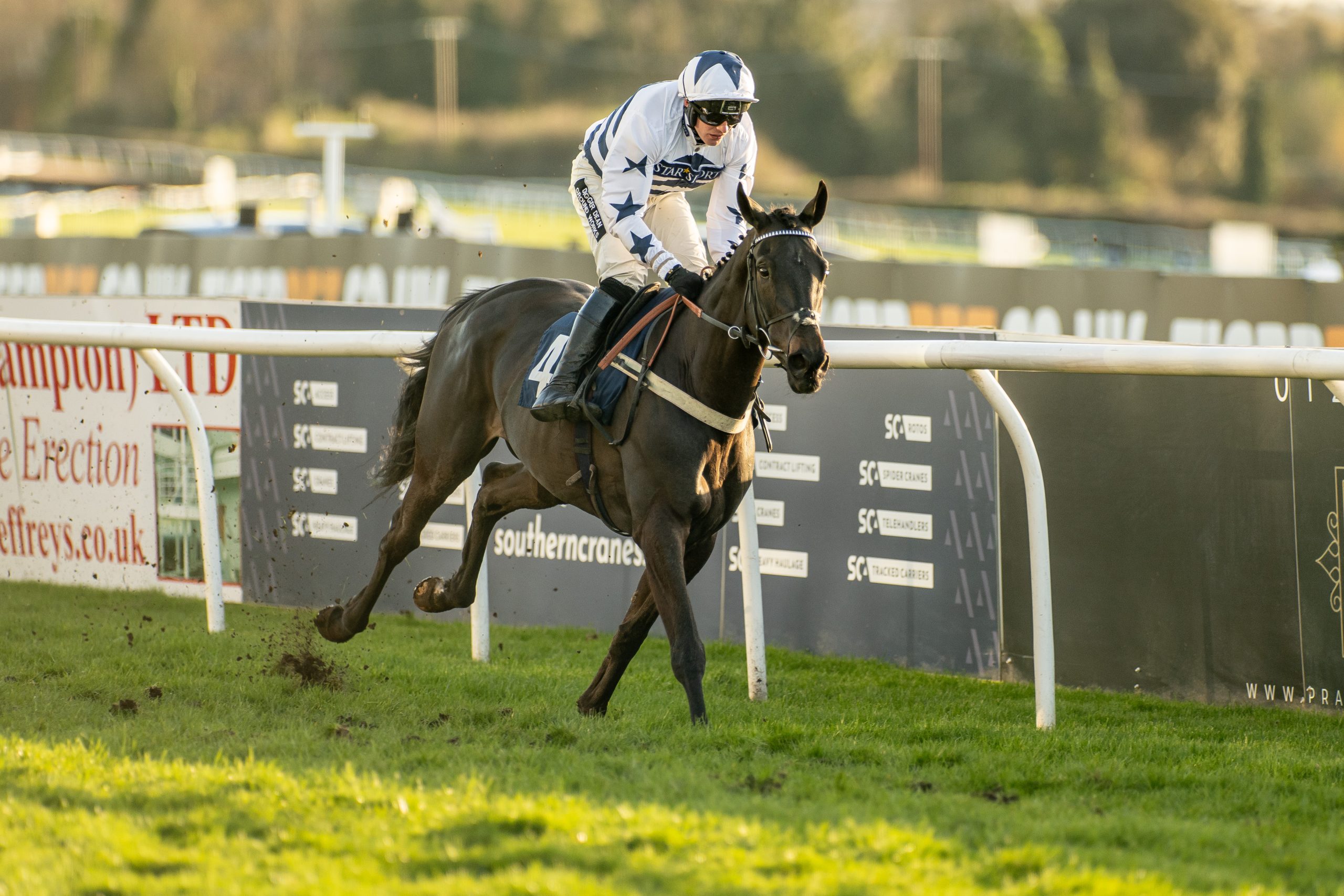 The Perfect Poet
